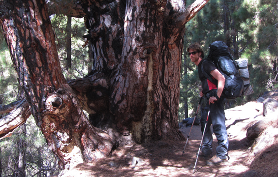 bor v calderi de taburiente