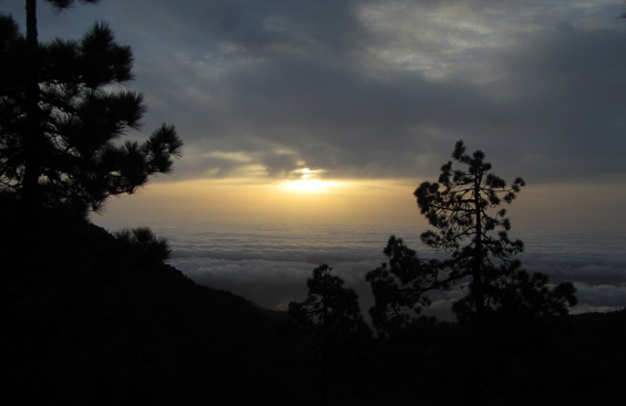Pogled na morje zjutraj