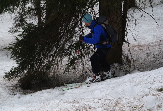 gozdarjenje-na-smuckah